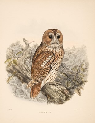 Lot 218 - Birds. Wyatt (Claude W.), A collection of 47 lithographs, [1894 - 99]