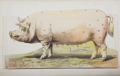 Lot 417 - Natural History. A collection of late 19th-century & modern natural history reference