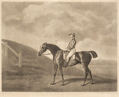 Lot 240 - Stubbs (George Townley). Pumpkin, Messrs. Stubbs, Turf Gallery, Feby. 20th 1794