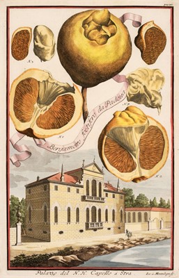 Lot 250 - Fruit. Volckamer (J. C.), Five plates from ' Nurnbergische Hesperides...', 1708