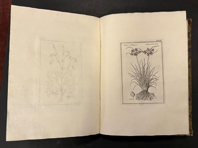 Lot 31 - Colonna (Fabio). Lyncei Phytobasanon cui accessit vita Fabi et Lynceorum notitia, 1744