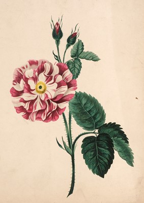 Lot 244 - Drawings, Prints & Engravings. A collection of approximately 130 drawings, 19th & 20th century