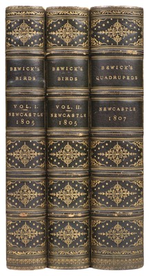 Lot 85 - Bewick (Thomas). A History of British Birds, 2 volumes, 1805