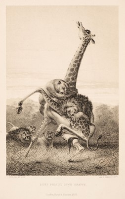 Lot 1 - Andersson (Charles). Lake Ngami, 1st edition, 1856
