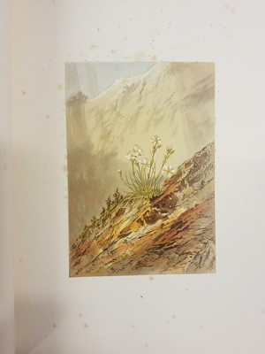 Lot 42 - Walton (Elijah). Flowers from the Upper Alps, 1869