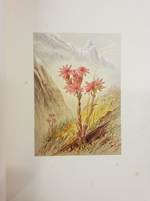 Lot 42 - Walton (Elijah). Flowers from the Upper Alps, 1869