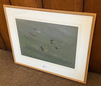 Lot 74 - 1991 Watson (Donald, 1918-2005). Cock Hen Harrier ..., 1991