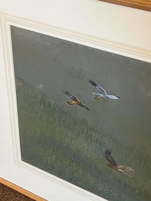 Lot 74 - 1991 Watson (Donald, 1918-2005). Cock Hen Harrier ..., 1991