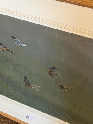 Lot 74 - 1991 Watson (Donald, 1918-2005). Cock Hen Harrier ..., 1991
