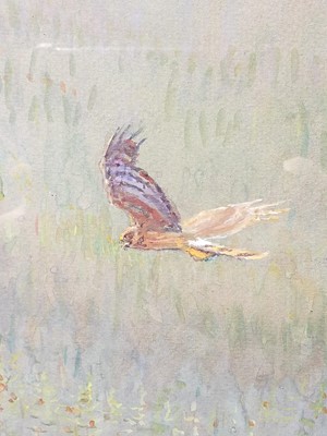 Lot 74 - 1991 Watson (Donald, 1918-2005). Cock Hen Harrier ..., 1991