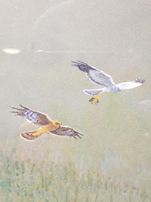 Lot 74 - 1991 Watson (Donald, 1918-2005). Cock Hen Harrier ..., 1991