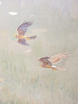 Lot 74 - 1991 Watson (Donald, 1918-2005). Cock Hen Harrier ..., 1991