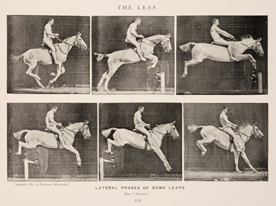 Lot 102 - Muybridge (Eadweard). Animals in Motion. An electro-photographic investigation..., 1899