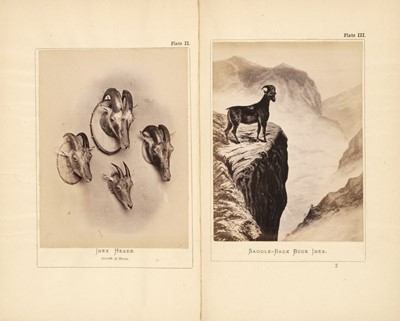 Lot 41 - Dawson (G.A.R.). Nilgiri Sporting Reminiscences, by an Old Shikarri, Madras, 1880