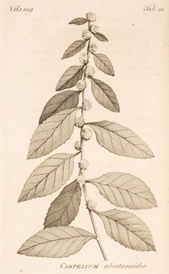 Lot 47 - Osbeck (Peter). A Voyage to China and the East Indies, 1st edition in English, 2 volumes, 1771