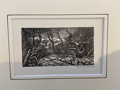 Lot 801 - Stone (Reynolds, 1909-1979). Winter