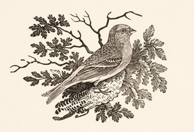 Lot 657 - Bewick (Thomas, 1753-1828). Three Dogs and The Lesser Redpole