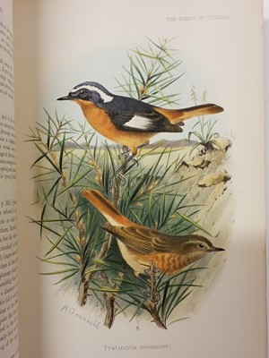 Lot 75 - Whitaker (J.L.S.) The Birds of Tunisia, 2 volumes, 1905