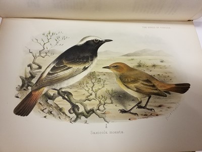 Lot 75 - Whitaker (J.L.S.) The Birds of Tunisia, 2 volumes, 1905