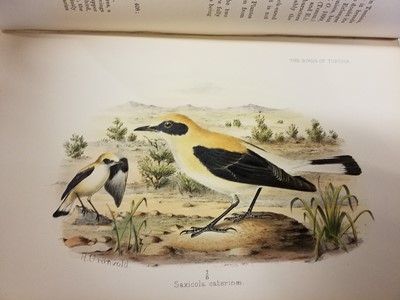 Lot 75 - Whitaker (J.L.S.) The Birds of Tunisia, 2 volumes, 1905