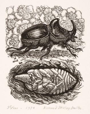 Lot 699 - Smith (Richard Shirley, 1935-). Rhinoceros Beetle, 1978