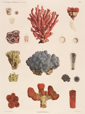 Lot 193 - Description de L'Egypte. A collection of ten engravings of corals, starfish and minerals, circa 1831