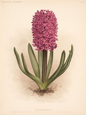 Lot 67 - Step (Edward, editor). Hardy Bulbous Plants, Florilegium Harlemense, 1908