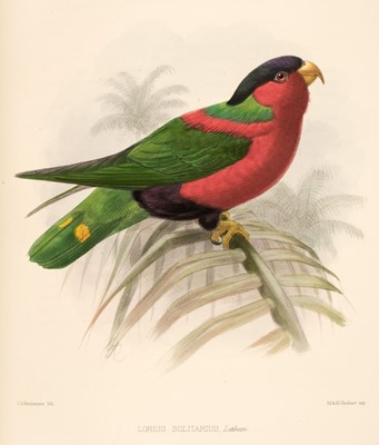 Lot 61 - Rowley (George Dawson). Ornithological Miscellany, 3 volumes, 1876-78