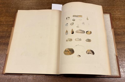 Lot 73 - Turton (William). Conchylia Dithyra Insularum Britannicarum, 1848