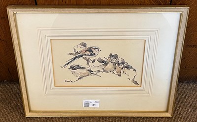 Lot 81 - Ennion (Eric, 1900-1981). Family of Long-Tailed Tits