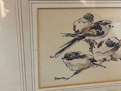 Lot 81 - Ennion (Eric, 1900-1981). Family of Long-Tailed Tits