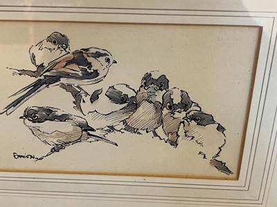 Lot 81 - Ennion (Eric, 1900-1981). Family of Long-Tailed Tits
