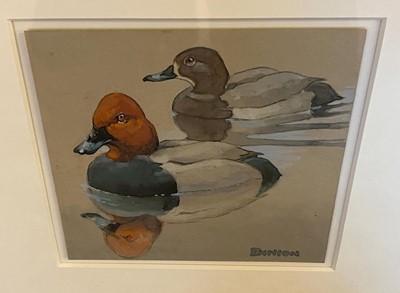 Lot 82 - Ennion (Eric, 1900-1981). Pochard