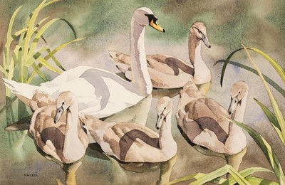 Lot 79 - Cusa (Noel William, 1909-1990). Neck Shadows