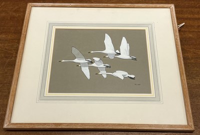 Lot 94 - Scott (Sir Peter Markham,  1909-1989). Bewick's Swans