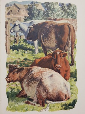 Lot 370 - C. F. Tunnicliffe. A collection of works by & illustrated by C. F. Tunnicliffe