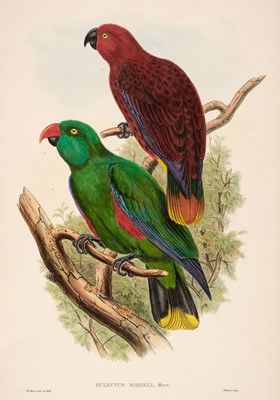 Lot 205 - Gould (John). Five lithographs originally published in "The Birds of New Guinea...," [1875 - 88]
