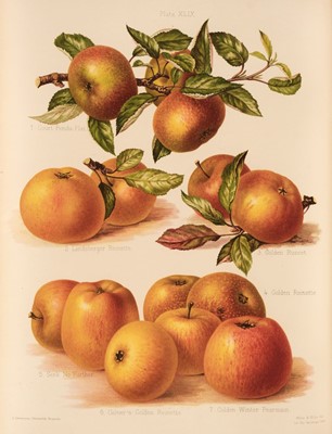 Lot 64 - Hogg (Robert & Henry Graves Bull, editors). The Herefordshire Pomona, 2 volumes, 1876-1885