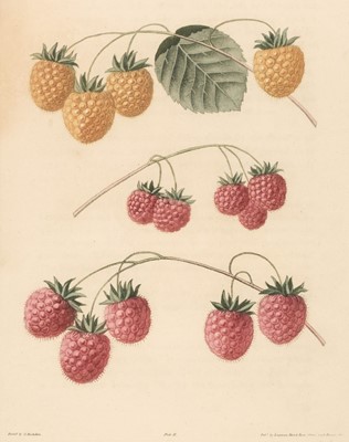 Lot 201 - Brookshaw (George). Pomona Britannica, volume I only, 1817