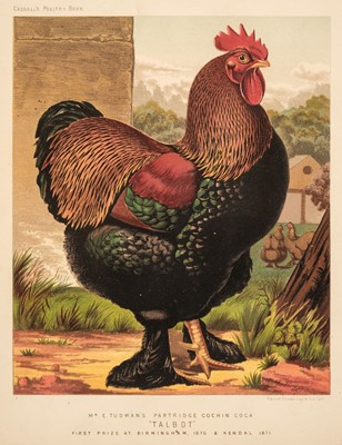 Lot 168 - Prints & Engravings. A collection of approximately 350 prints, 19th - 20th century
