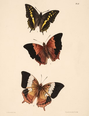 Lot 211 - Moore (Frederic). The Lepidoptera of Ceylon, 3 volumes, 1st edition, 1880-87