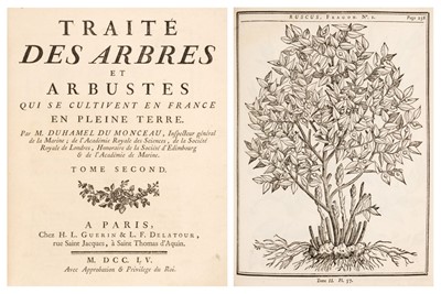 Lot 204 - Duhamel du Monceau (Henri-Louis). Traité des arbres et arbustes, 2 volumes, 1st edition, 1755