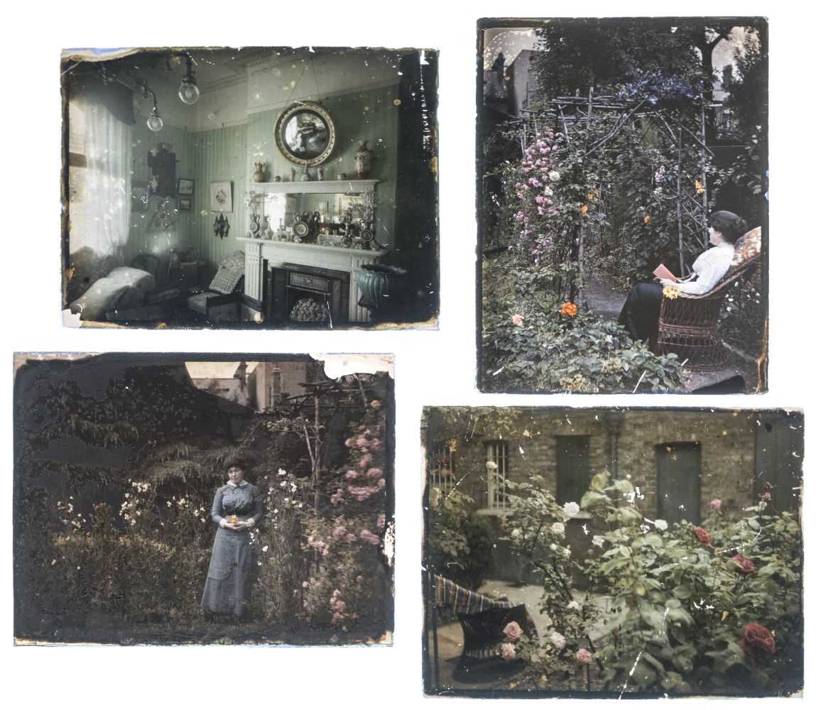 Lot 4 - Autochromes. A group of 10 autochromes of flowers, c. 1912