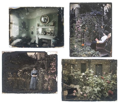 Lot 4 - Autochromes. A group of 10 autochromes of flowers, c. 1912