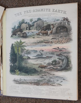 Lot 136 - Reynolds (James, publisher). Geological Diagrams, 1849 - 60