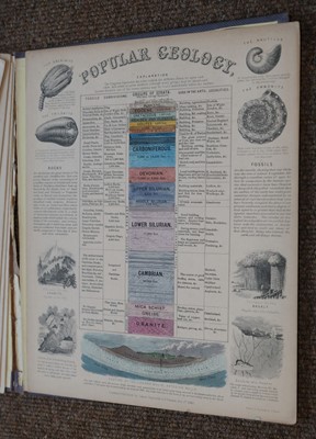 Lot 136 - Reynolds (James, publisher). Geological Diagrams, 1849 - 60