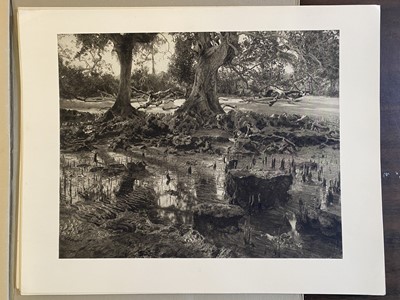 Lot 7 - Borneo. By Gregor Krause, 3 volumes, Munich, 1927