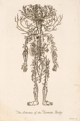 Lot 236 - Sibly (Ebenezer). The Medical Mirror, or Treatise on the Impregnation of the Human Female, c. 1798