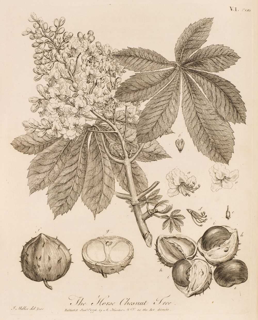 Lot 60 - Evelyn (John). Silva: or, A Discourse of Forest-Trees, 1776