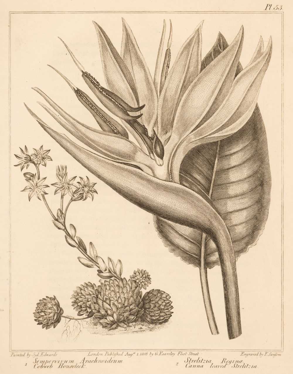 Lot 59 - Edwards (Sydenham). The New Flora Britannica, 2 vols. in one, 1812